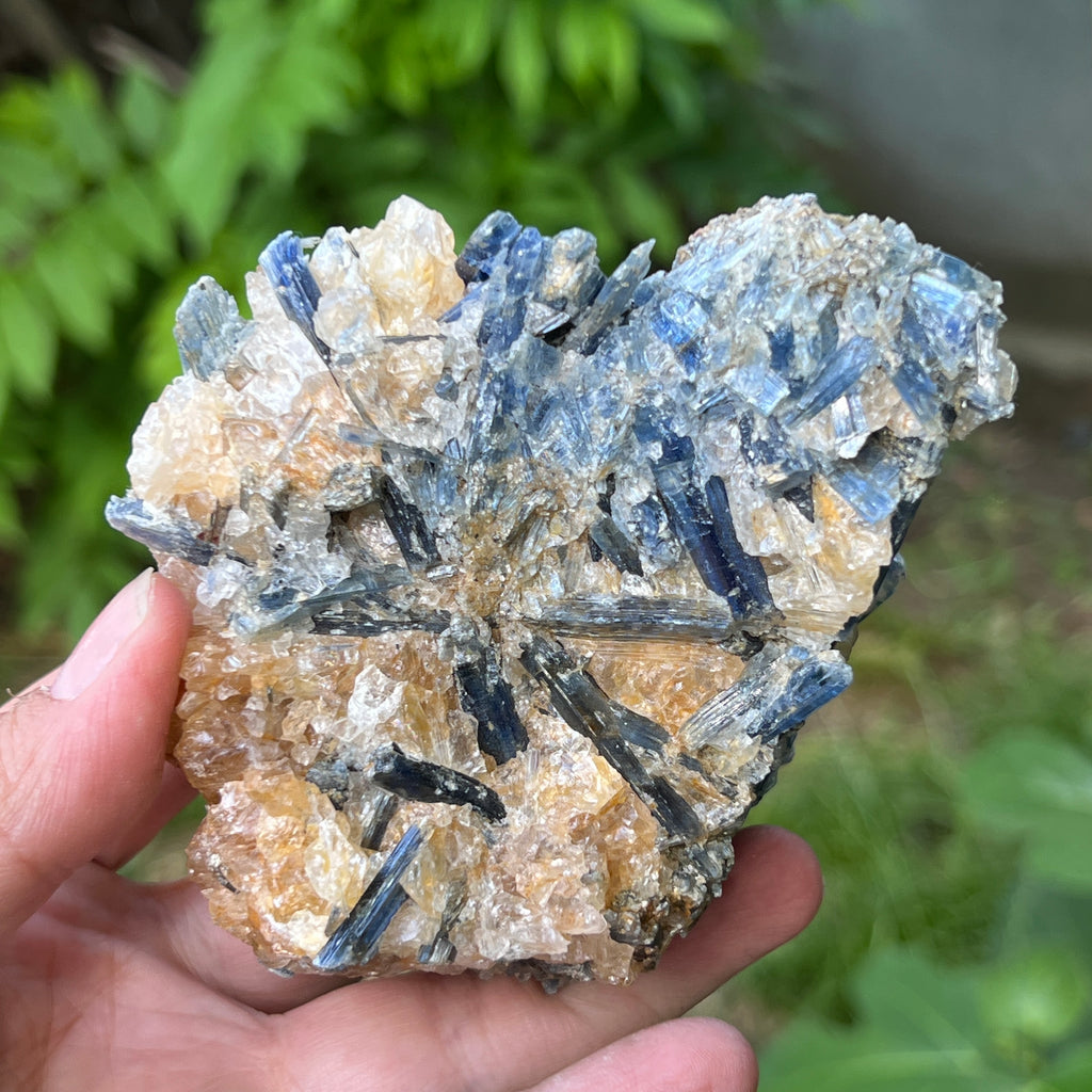 Kianit albastru (Cianit) piatra bruta din Zimbabwe model 15, pietre semipretioase - druzy.ro 5 