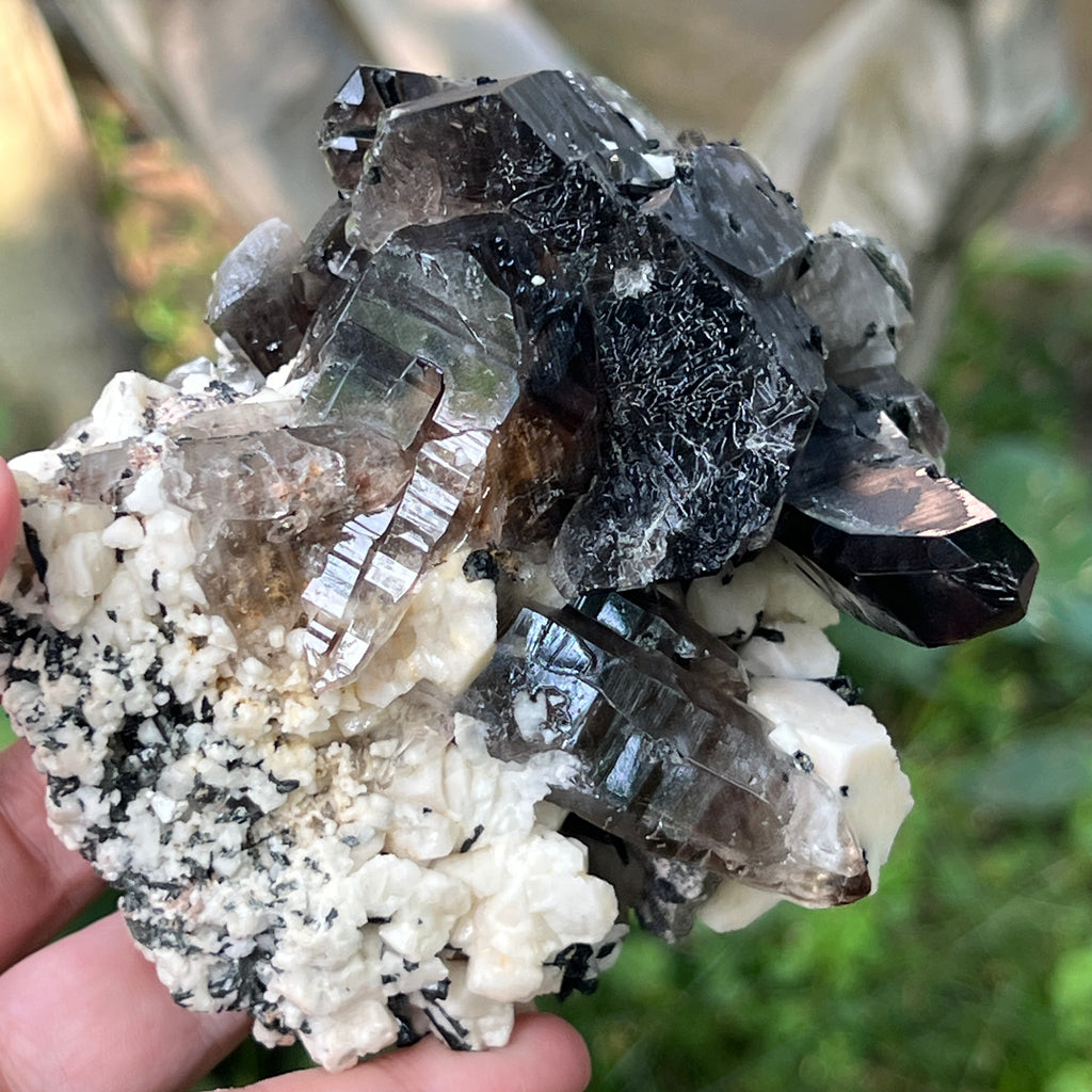 Specimen cluster cuart fumuriu m4, pietre semipretioase - druzy.ro 11 