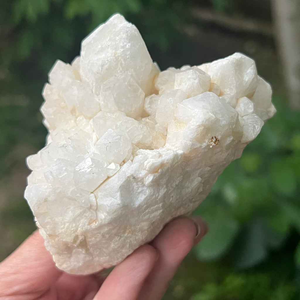 Cluster cuart fantoma, cuart ananas, cuart de stanca din Madagascar model 15, pietre semipretioase - druzy.ro 3 