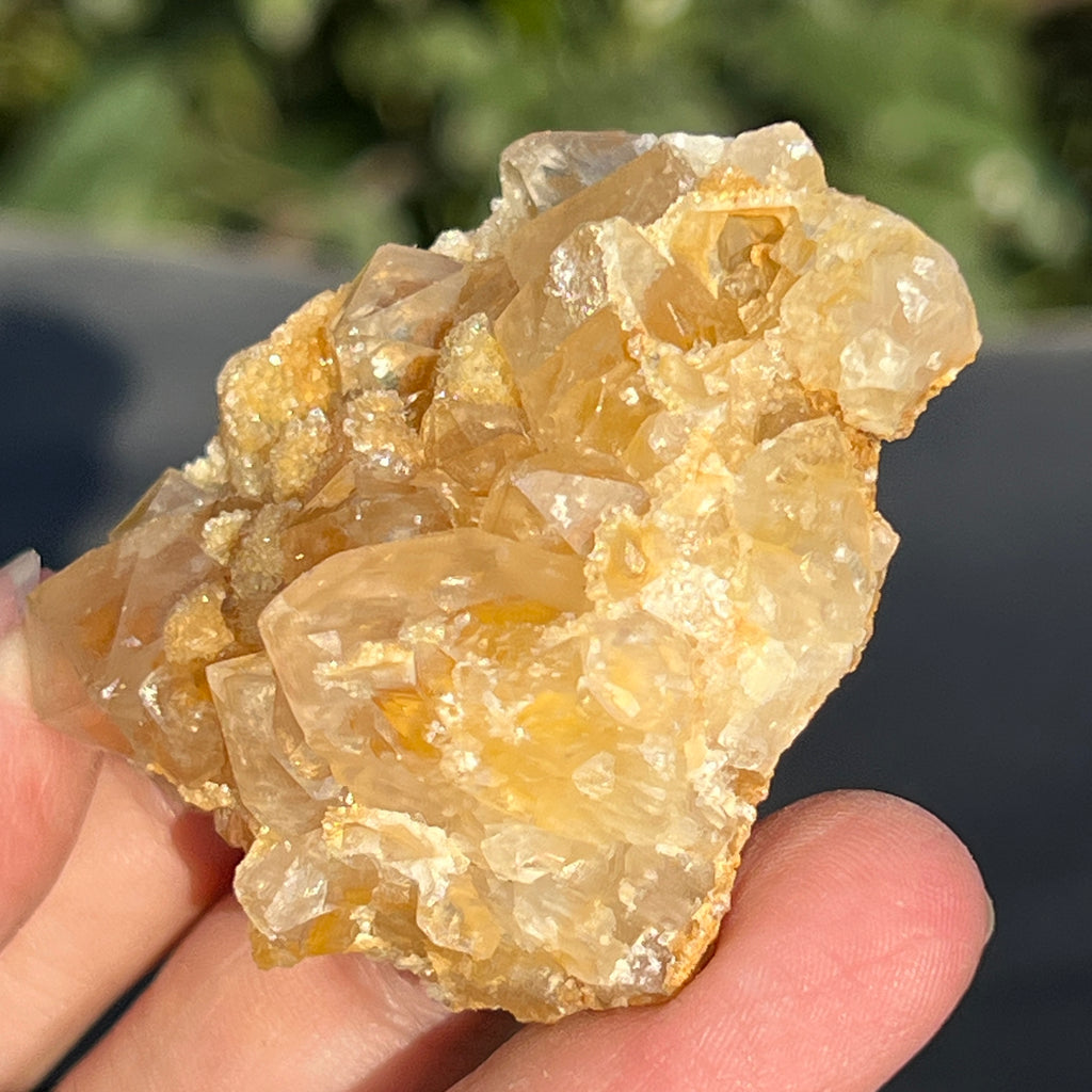 Cluster cuart lamaie Zambia, golden healer model 37, pietre semipretioase - druzy.ro 3 