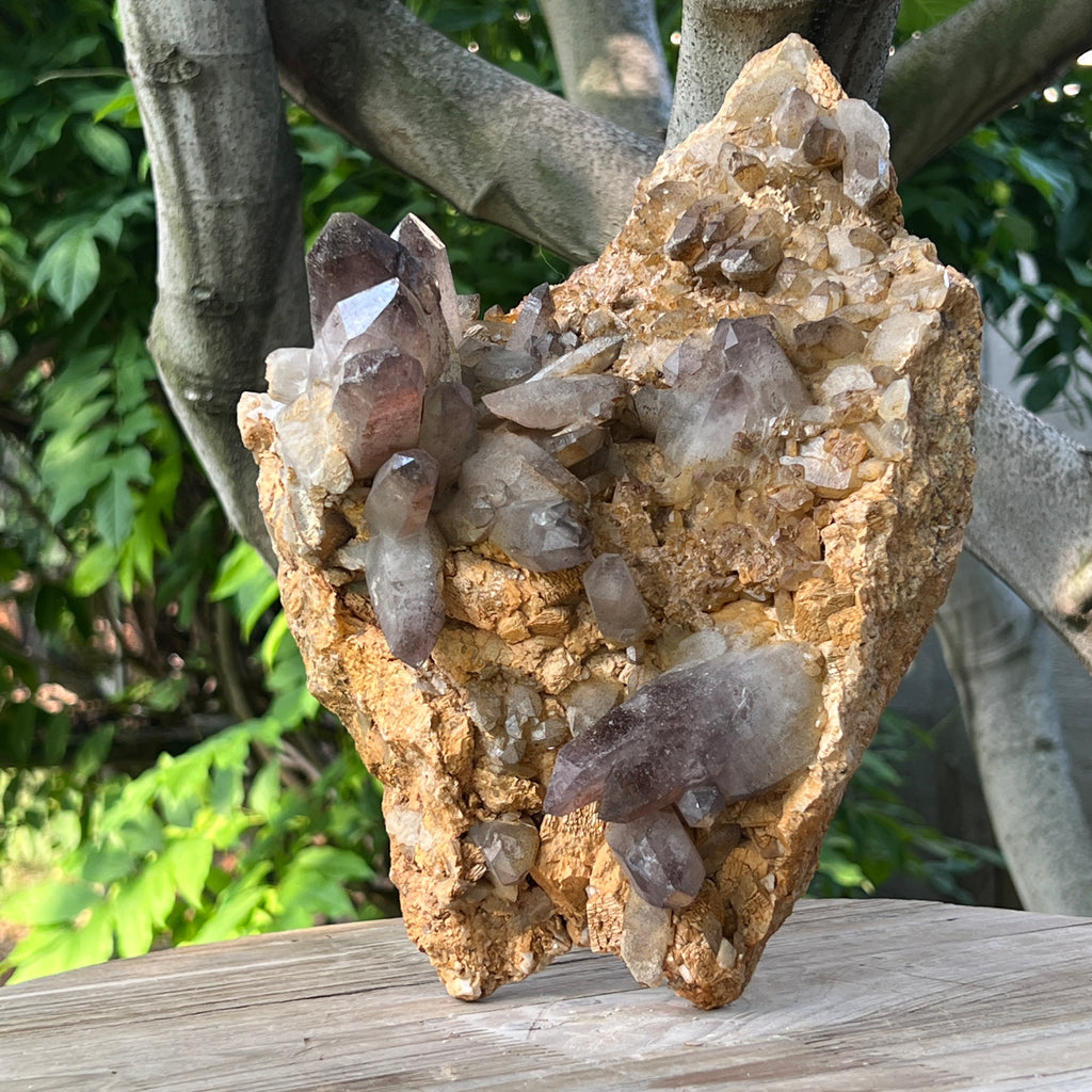 Specimen cluster cuart fumuriu m1, pietre semipretioase - druzy.ro 3 
