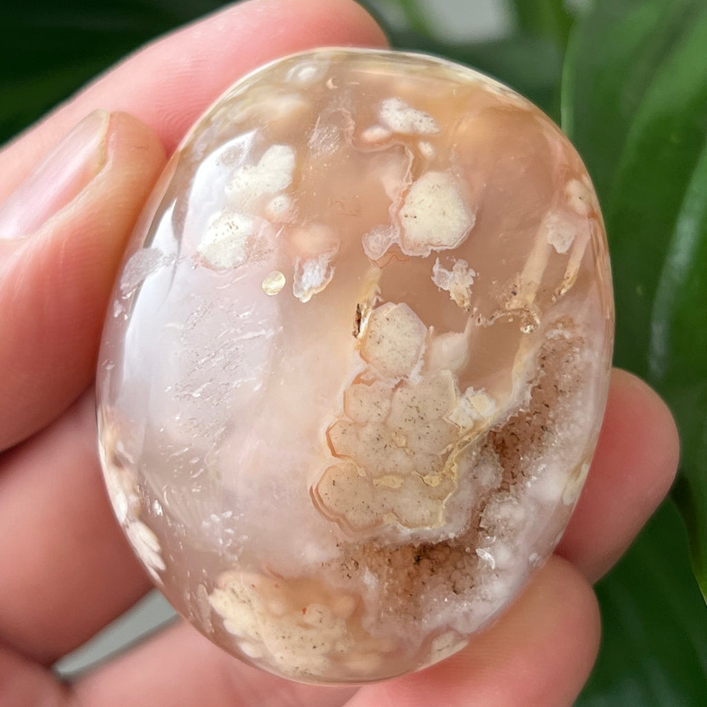 Palmstone agat coral floare rosu m23, pietre semipretioase - druzy.ro 3 