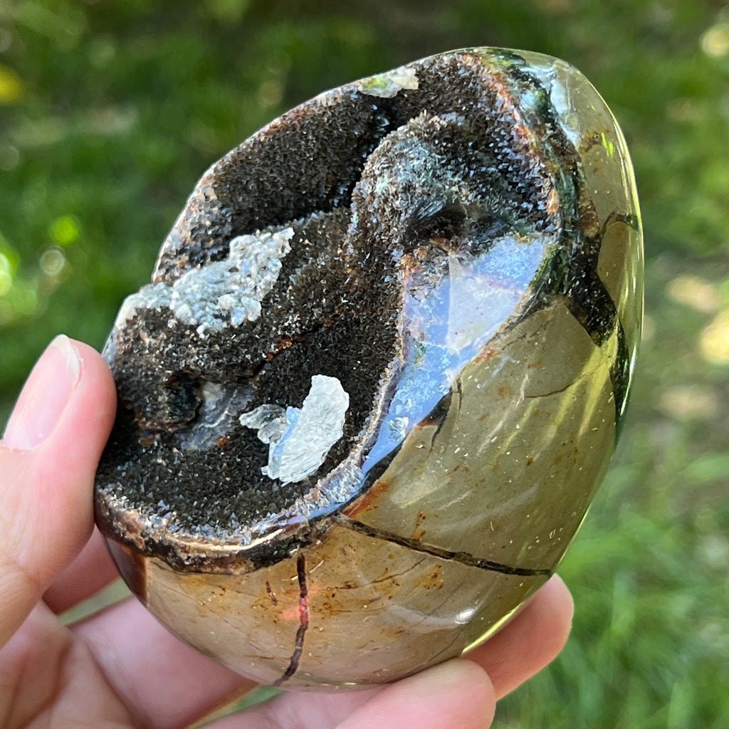 Ou Septaria din Madagascar , piatra dragonului | Model 10, pietre semipretioase - druzy.ro 3 