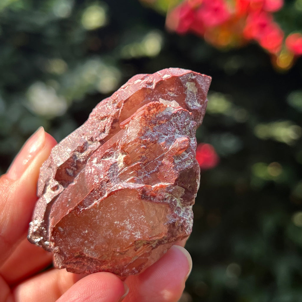 Cluster rosu hematoid din Zimbabwe model 1, pietre semipretioase - druzy.ro 2