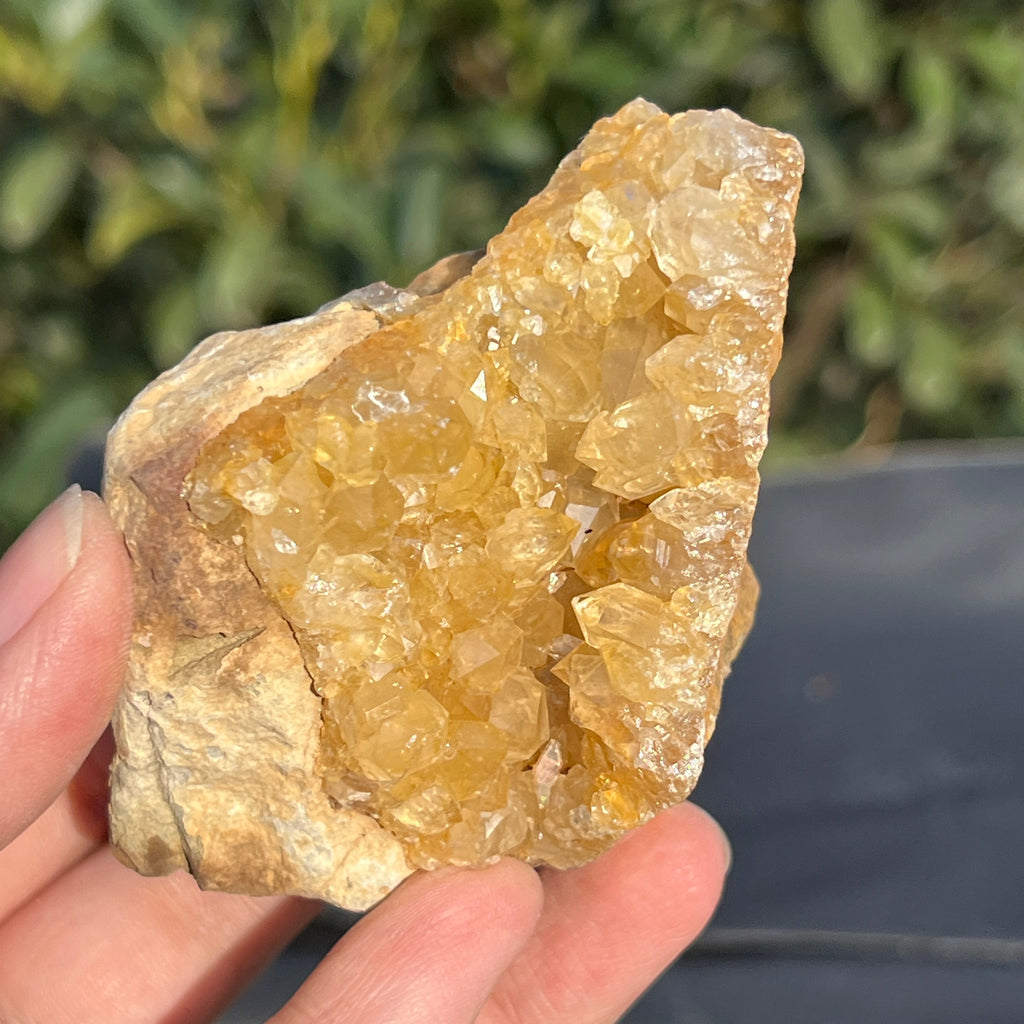 Cluster cuart lamaie Zambia, golden healer model 48, pietre semipretioase - druzy.ro 2 