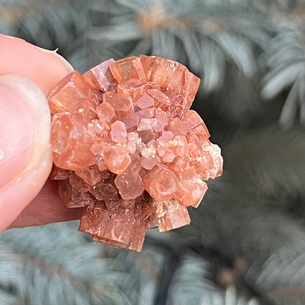 Cluster cristal aragonit din Maroc model 2, druzy.ro, cristale 3