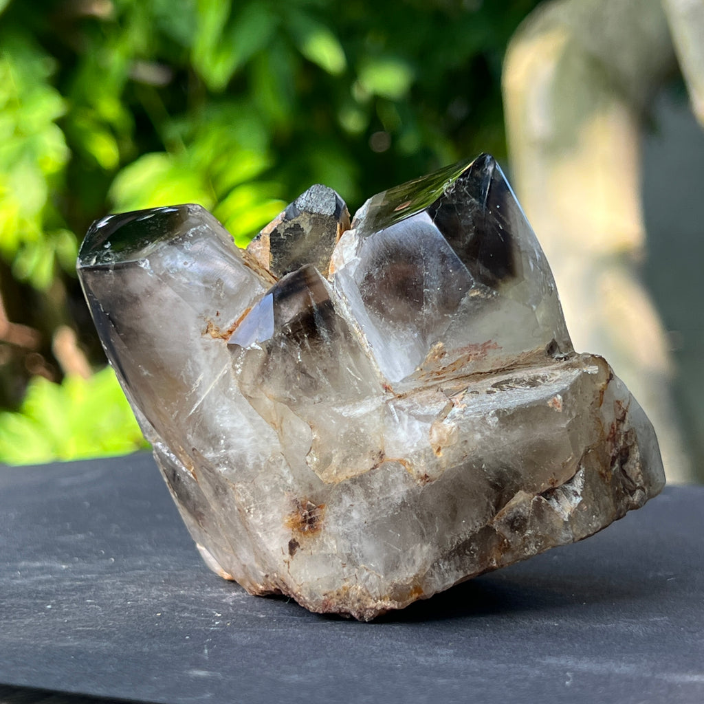Specimen cluster cuart fumuriu m7, pietre semipretioase - druzy.ro 8 