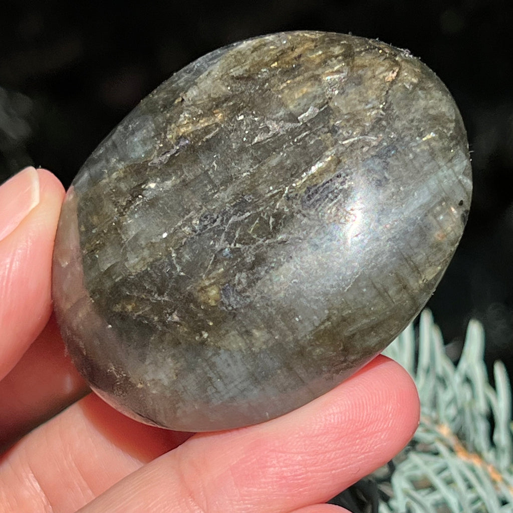 Labradorit palm stone m7, druzy.ro, cristale 4