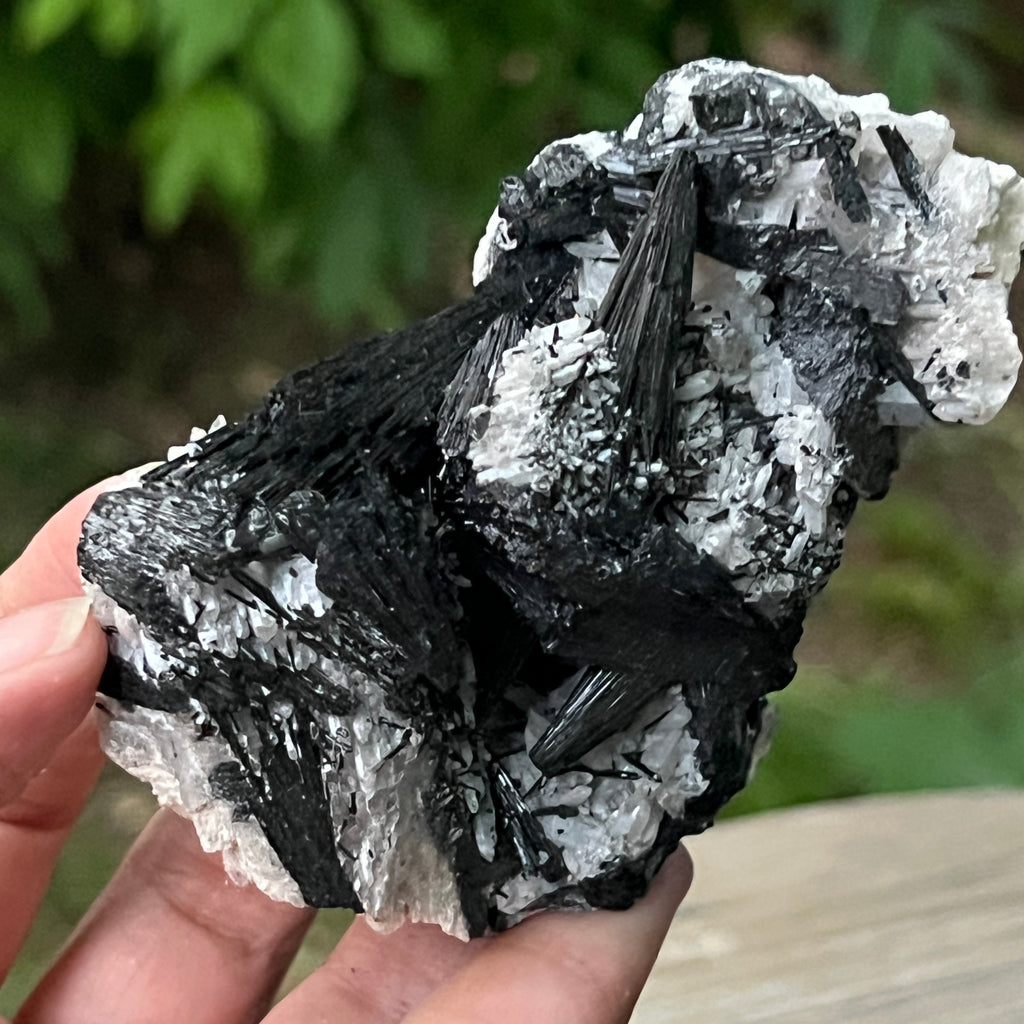 Cluster turmalina neagra model 9 din Erongo, Namibia, pietre semipretioase - druzy.ro 3 