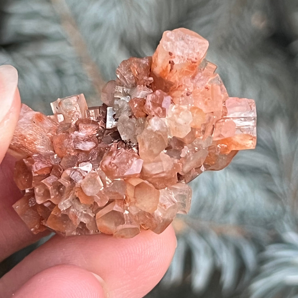 Cluster cristal aragonit din Maroc model 1, druzy.ro, cristale 2