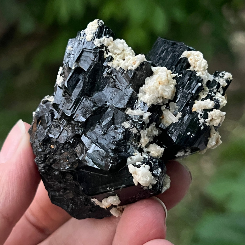 Cluster turmalina neagra model 2 din Erongo, Namibia, pietre semipretioase - druzy.ro 4 