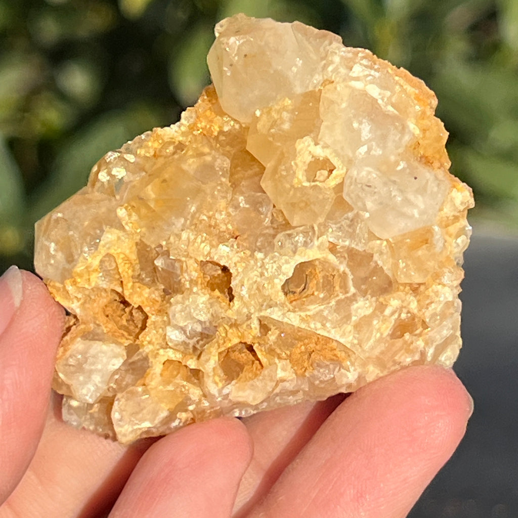 Cluster cuart lamaie Zambia, golden healer model 43, pietre semipretioase - druzy.ro 1 