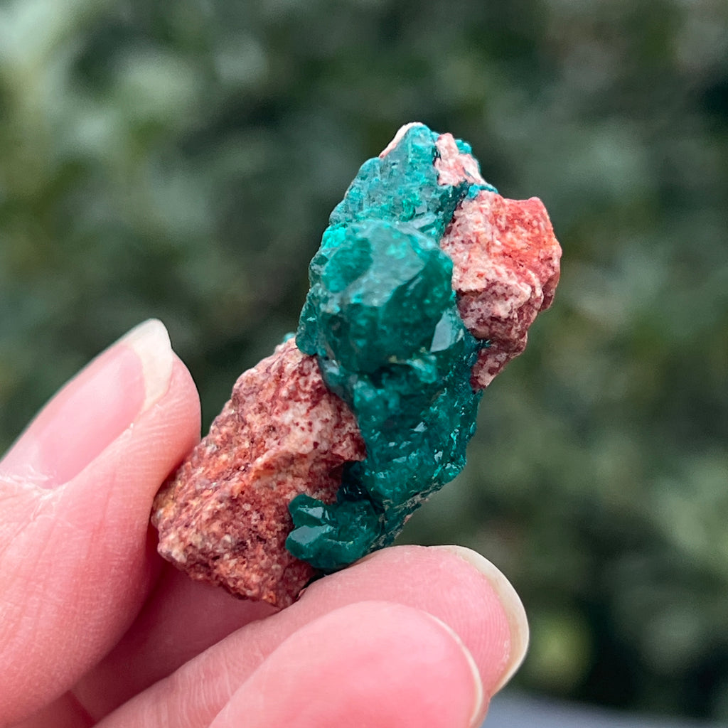 Dioptaz cluster din Congo model 34, pietre semipretioase - druzy.ro 2 