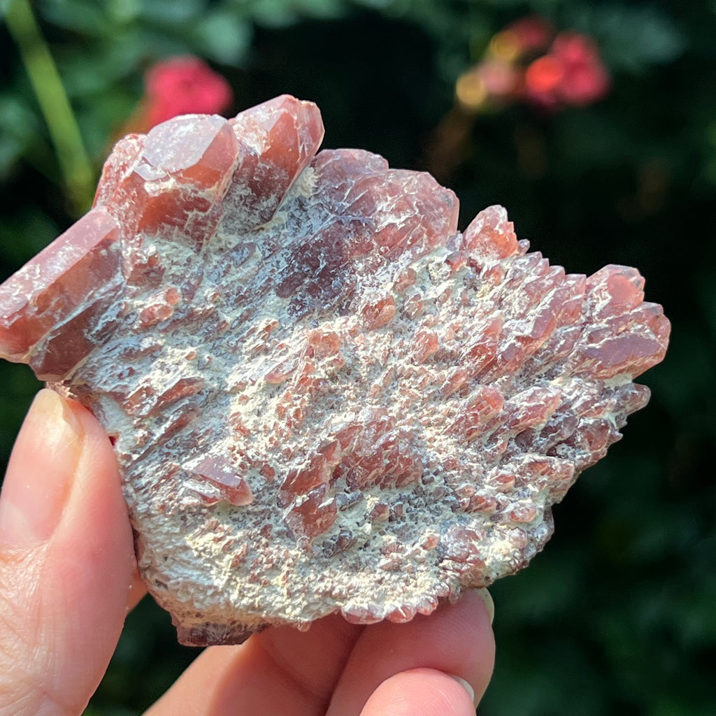 Cluster rosu hematoid din Zimbabwe model 8, pietre semipretioase - druzy.ro 3