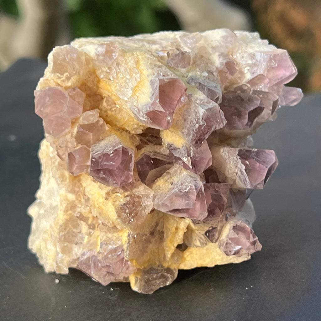 Cluster ametist sweet model 5a/3, din Zambia, pietre semipretioase - druzy.ro 2