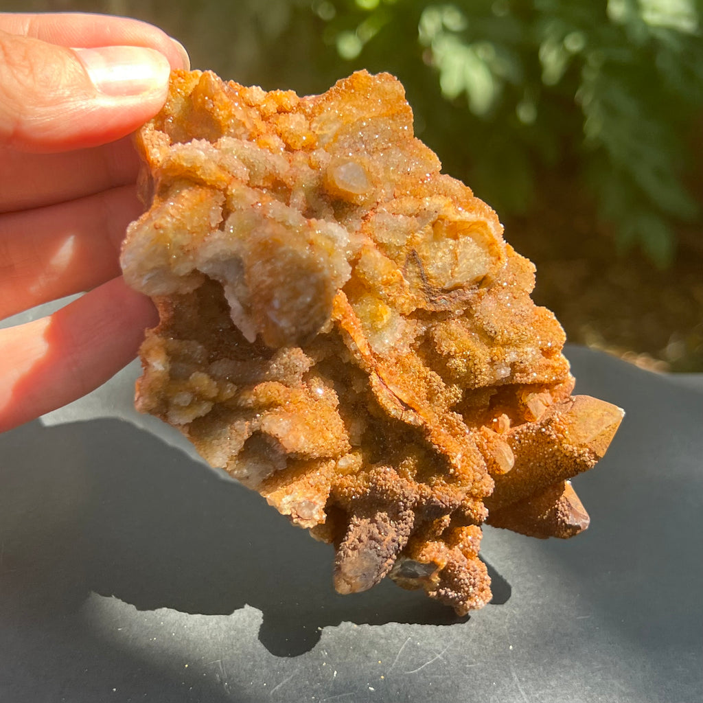 Cluster cuart lamaie, golden healer 4A/2, Africa de Sud, druzy.ro, pietre semipretioase 3