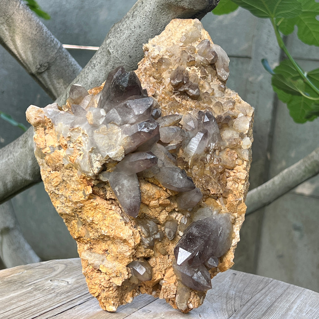 Specimen cluster cuart fumuriu m1, pietre semipretioase - druzy.ro 7 
