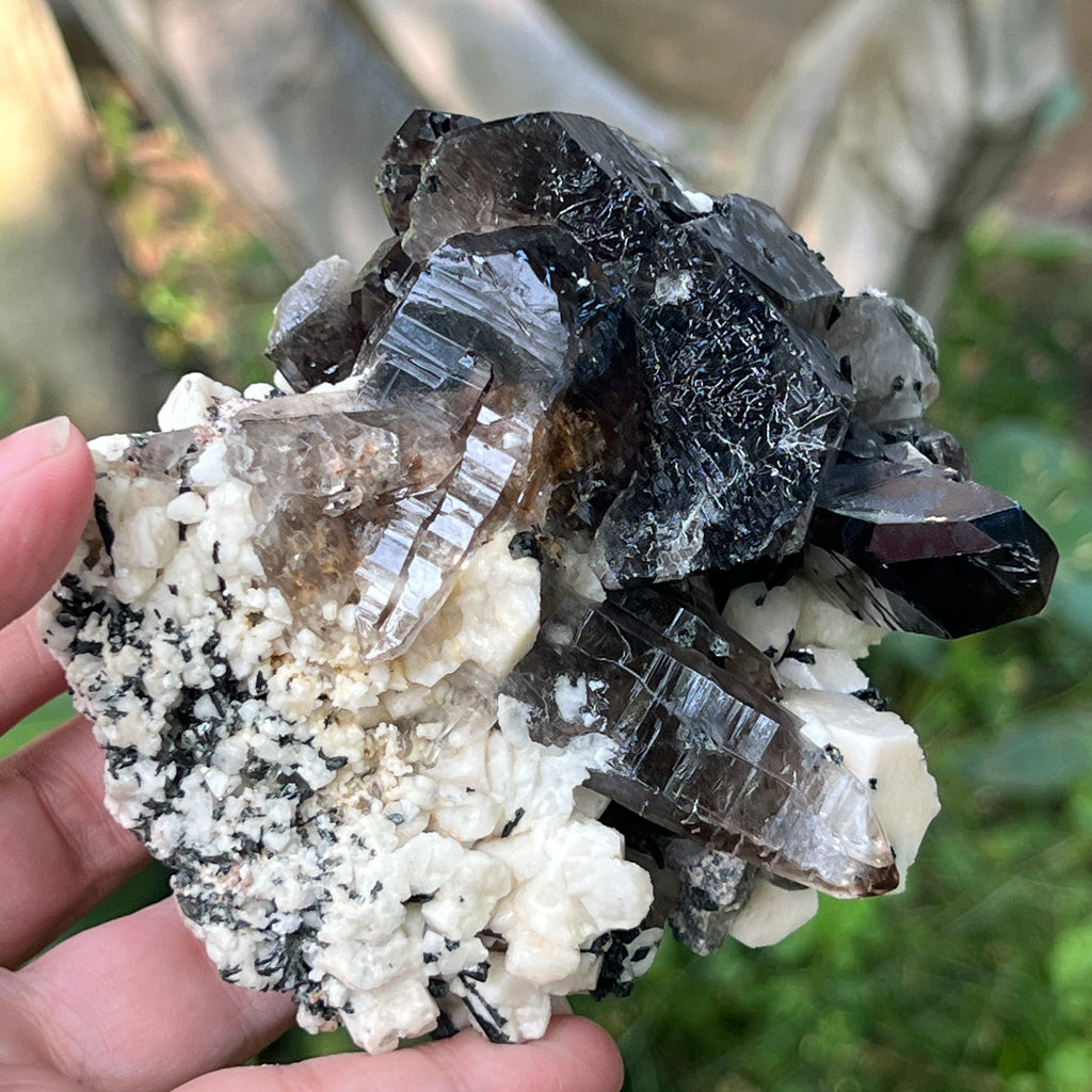 Specimen cluster cuart fumuriu m4, pietre semipretioase - druzy.ro 7 