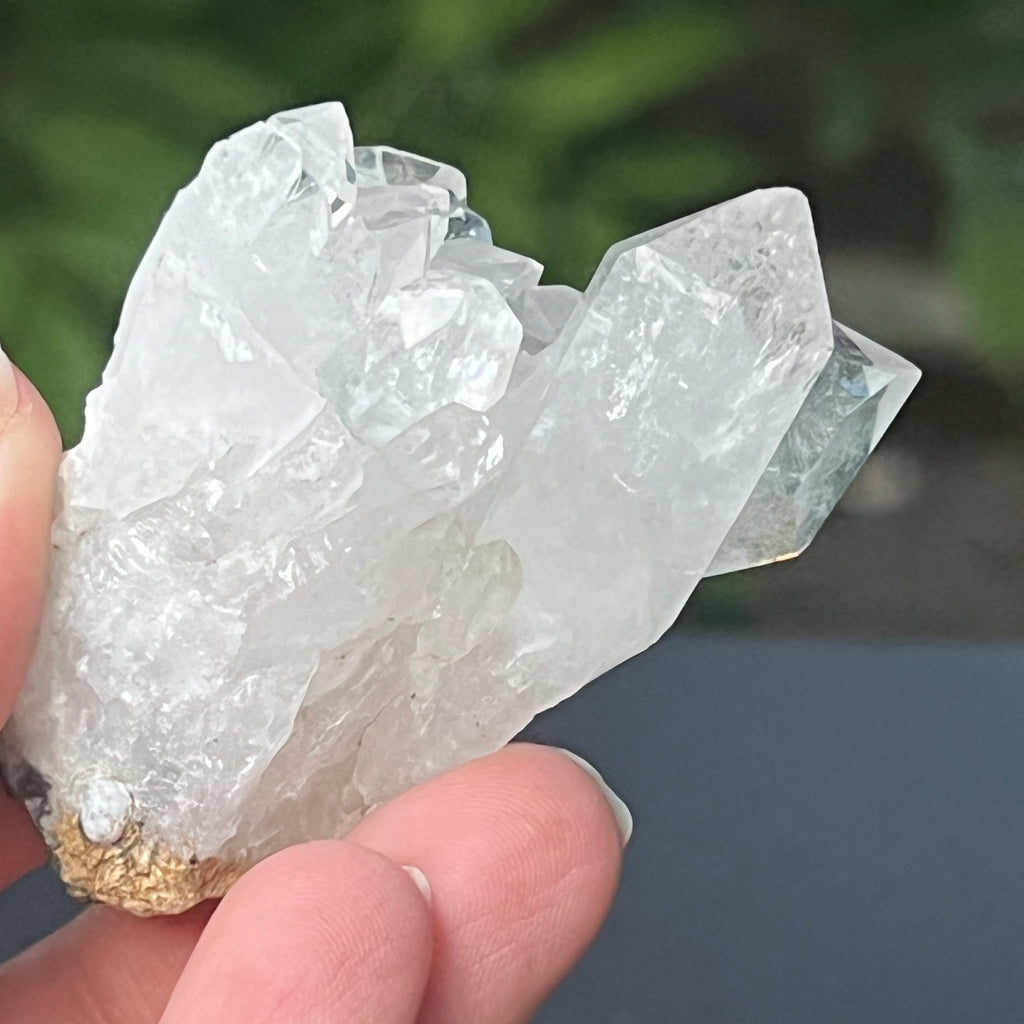 Cluster apofilit model 2, pietre semipretioase - druzy.ro 5 