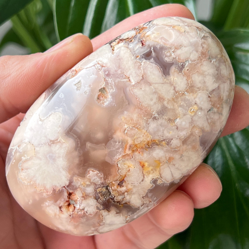 Palmstone agat coral floare rosu m20, pietre semipretioase - druzy.ro 1 