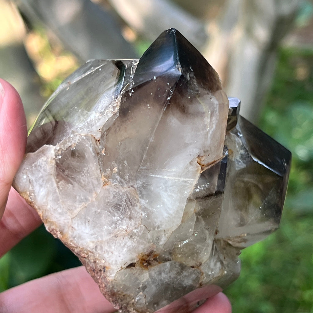 Specimen cluster cuart fumuriu m7, pietre semipretioase - druzy.ro 2 