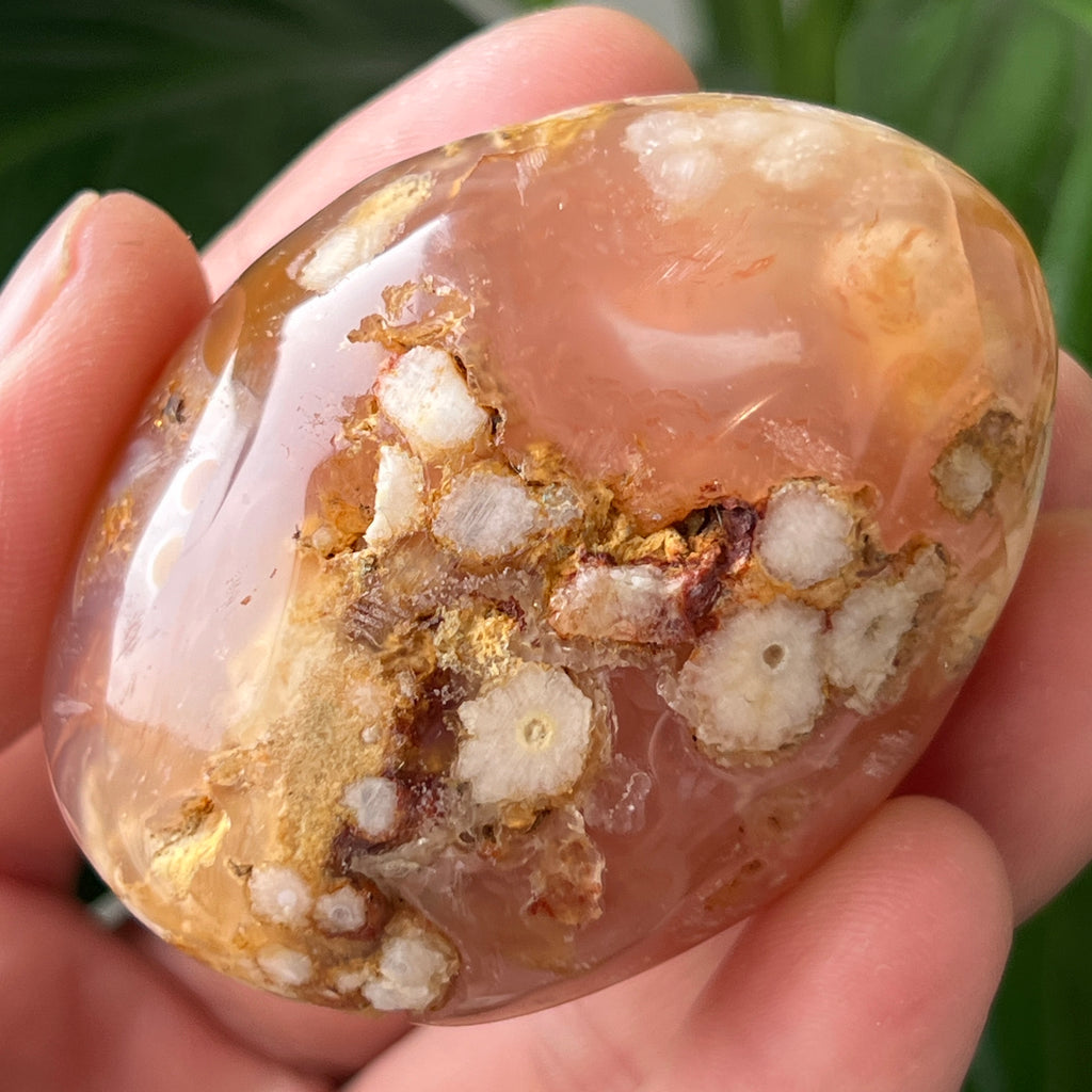 Palmstone agat coral floare rosu m28, pietre semipretioase - druzy.ro 1 