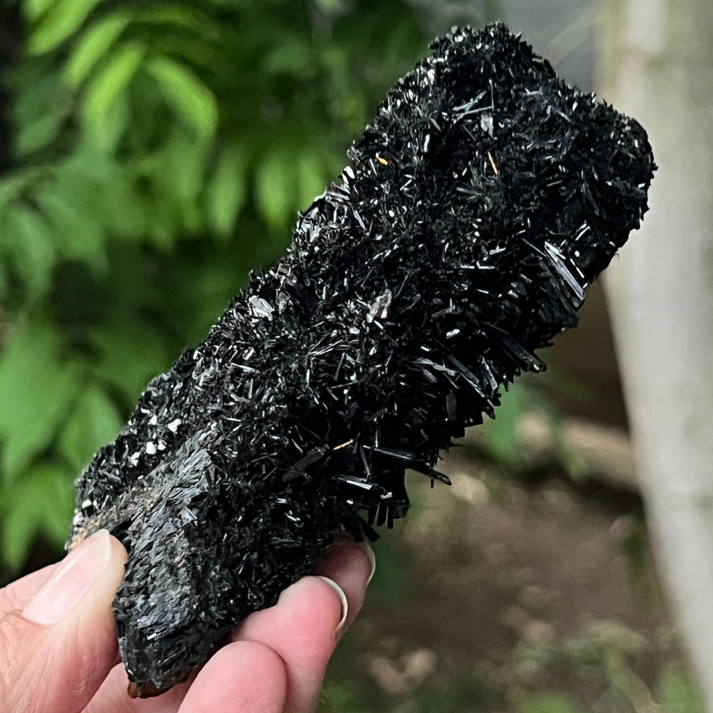 Cluster turmalina neagra model 12 din Erongo, Namibia, pietre semipretioase - druzy.ro 4 