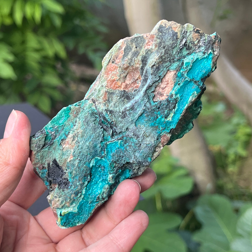 Cluster crisocola botrioidală model 4 din Congo, pietre semipretioase - druzy.ro 5 