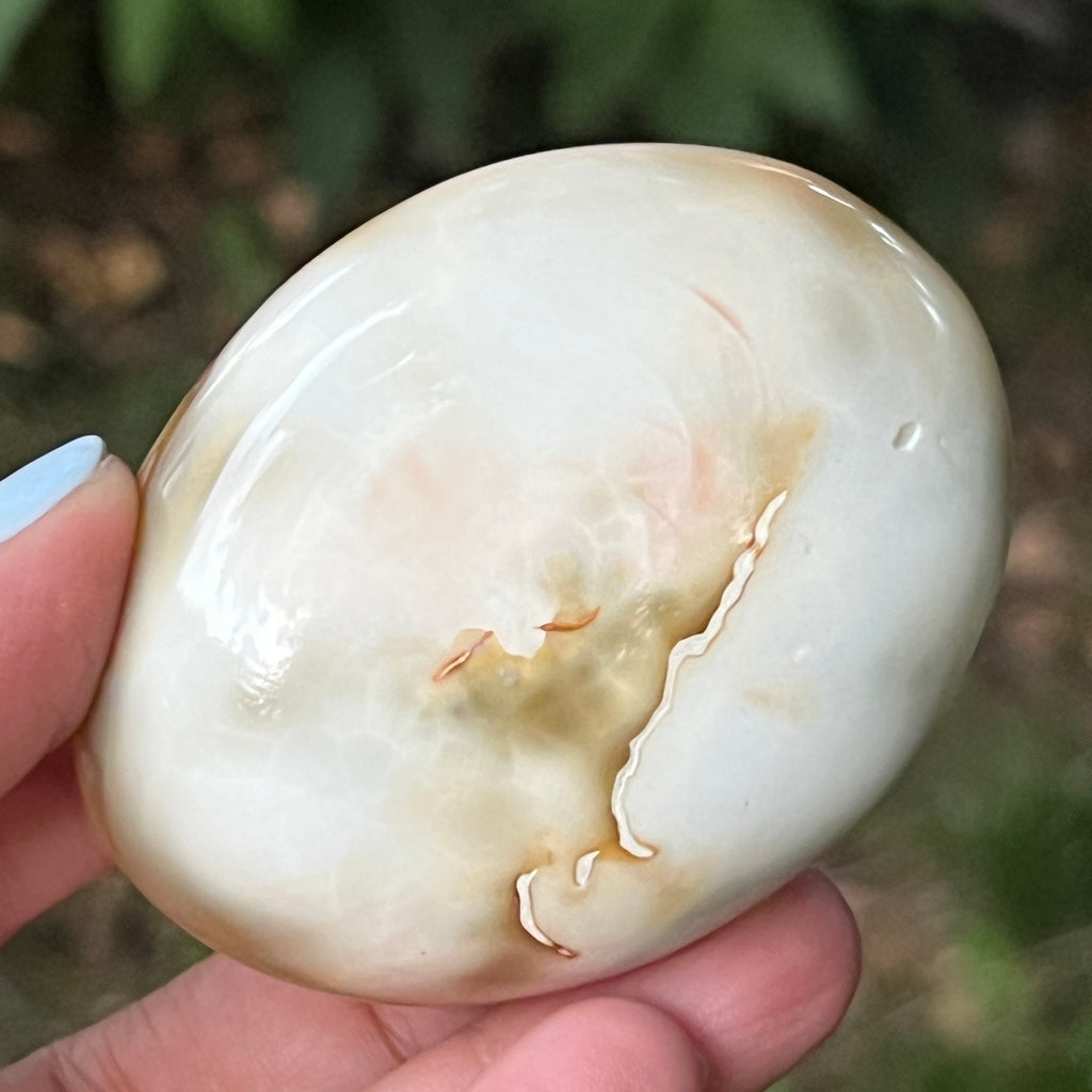 Agat Orca palmstone model 3, pietre semipretioase - druzy.ro 3 