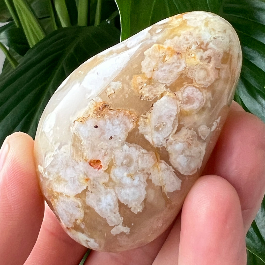 Palmstone agat coral floare m5, pietre semipretioase - druzy.ro 1 