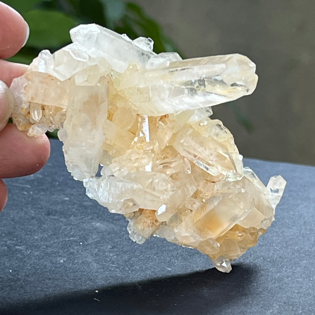 Cluster cuart incolor, floare de mina, cristal de stanca Zimbabwe m12, pietre semipretioase - druzy.ro 1 
