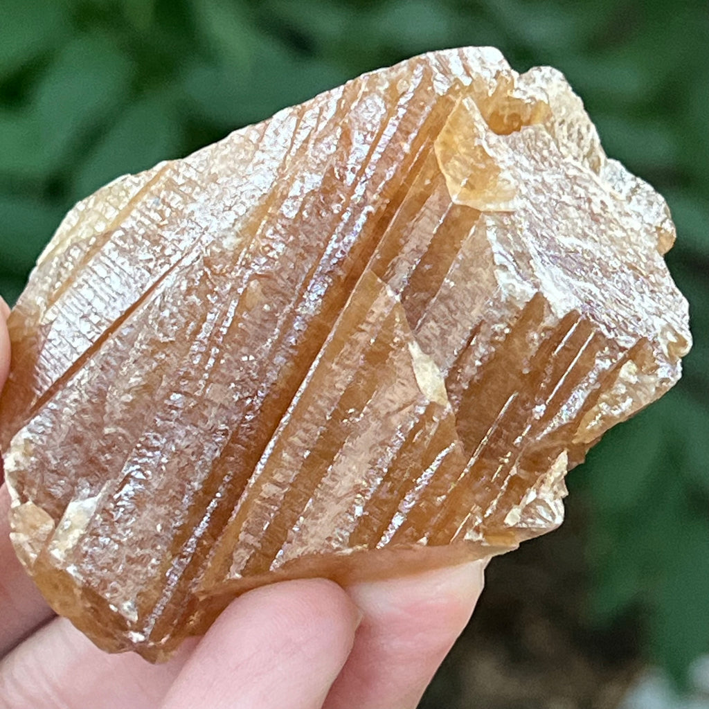 Aragonit miere din Namibia piatra bruta model 4, pietre semipretioase - druzy.ro 3 