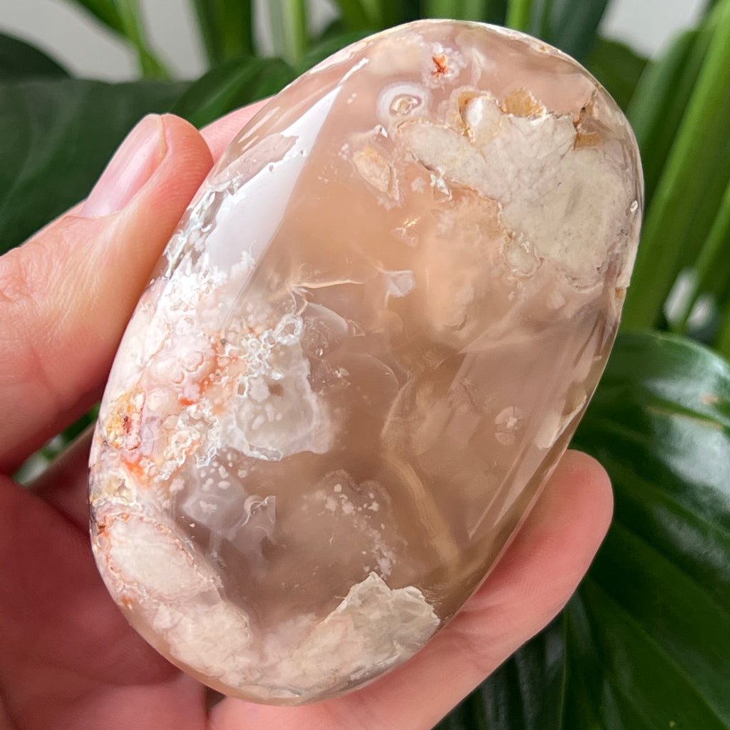 Palmstone agat coral floare rosu m20, pietre semipretioase - druzy.ro 2 
