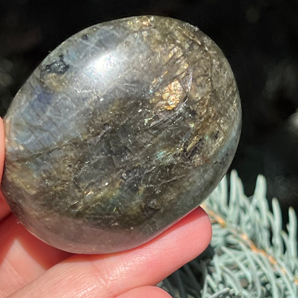 Labradorit palm stone m7, druzy.ro, cristale 7