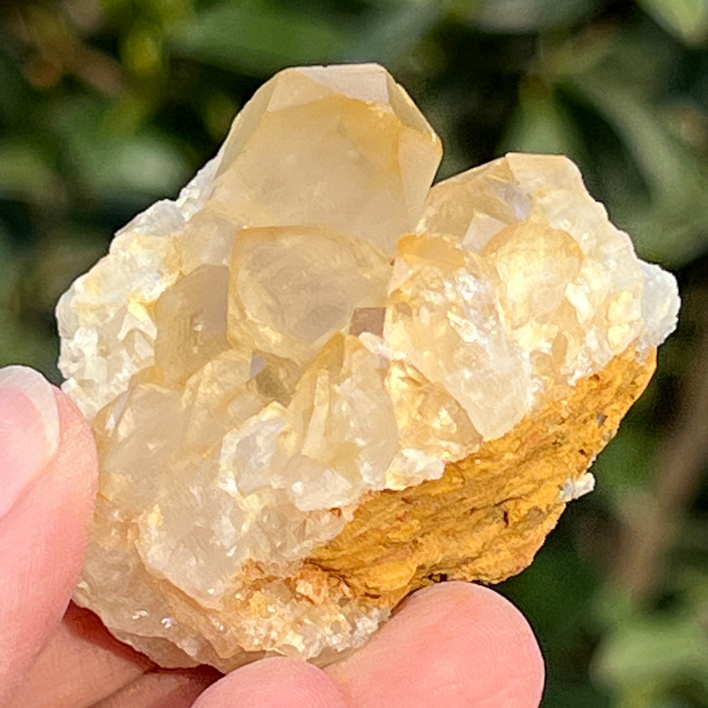 Cluster cuart lamaie Zambia, golden healer model 55, pietre semipretioase - druzy.ro 2 