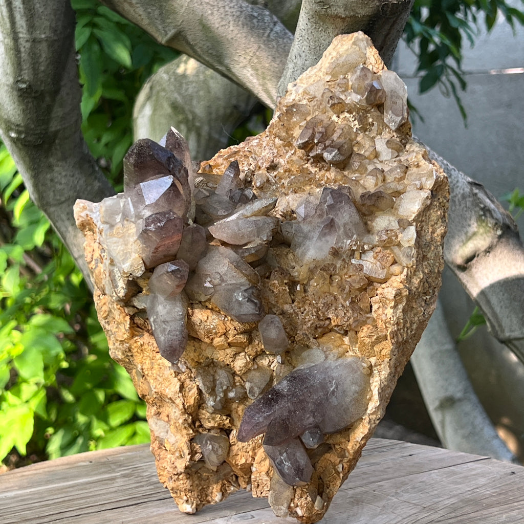 Specimen cluster cuart fumuriu m1, pietre semipretioase - druzy.ro 5 