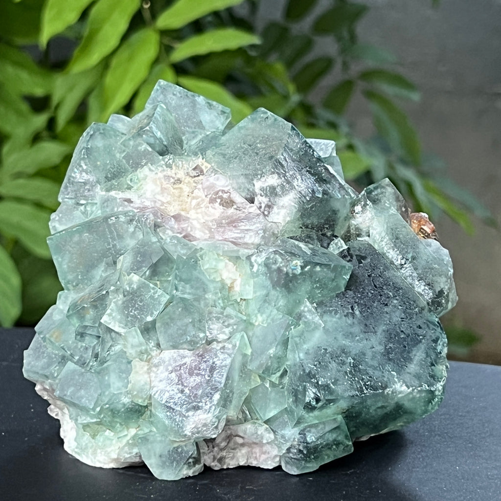 Specimen fluorit cubic model 3, pietre semipretioase - druzy.ro 2 