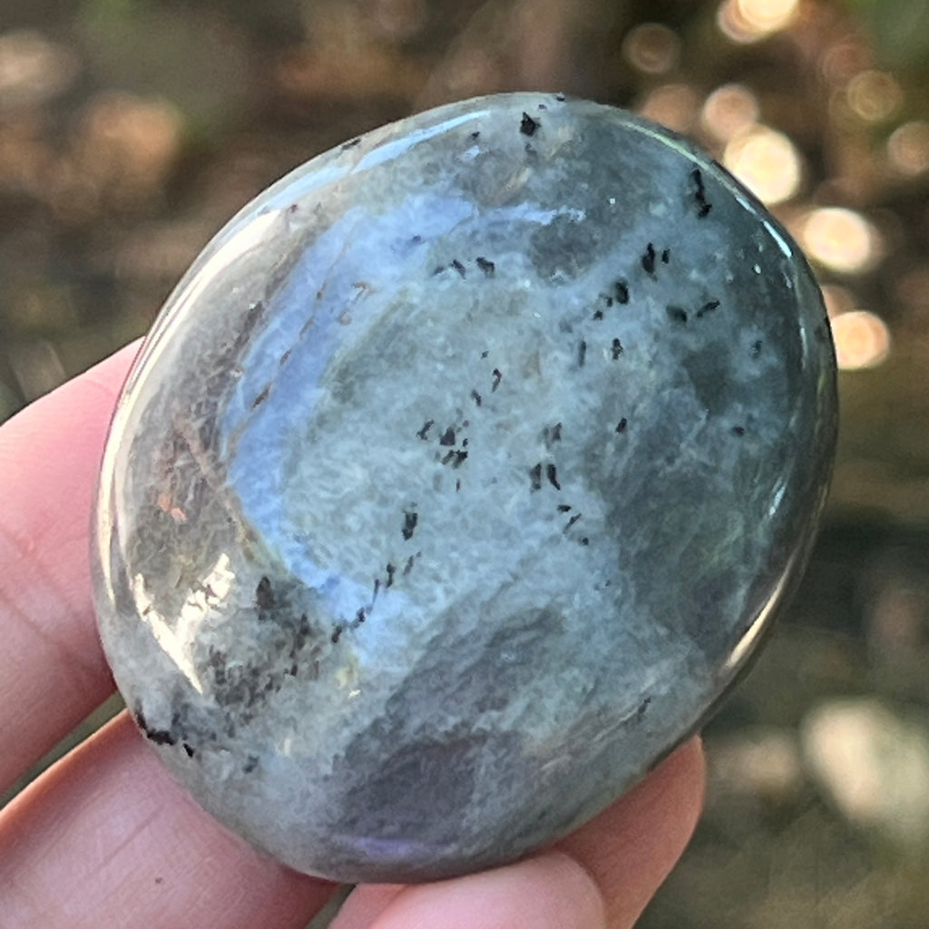 Labradorit palm stone din Madagascar model 1, pietre semipretioase - druzy.ro 2 