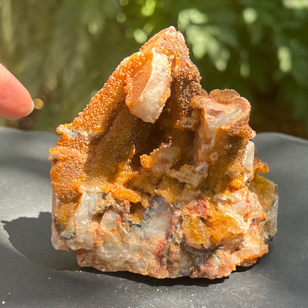 Cluster cuart lamaie, golden healer 4A/4, Africa de Sud, druzy.ro, pietre semipretioase 5