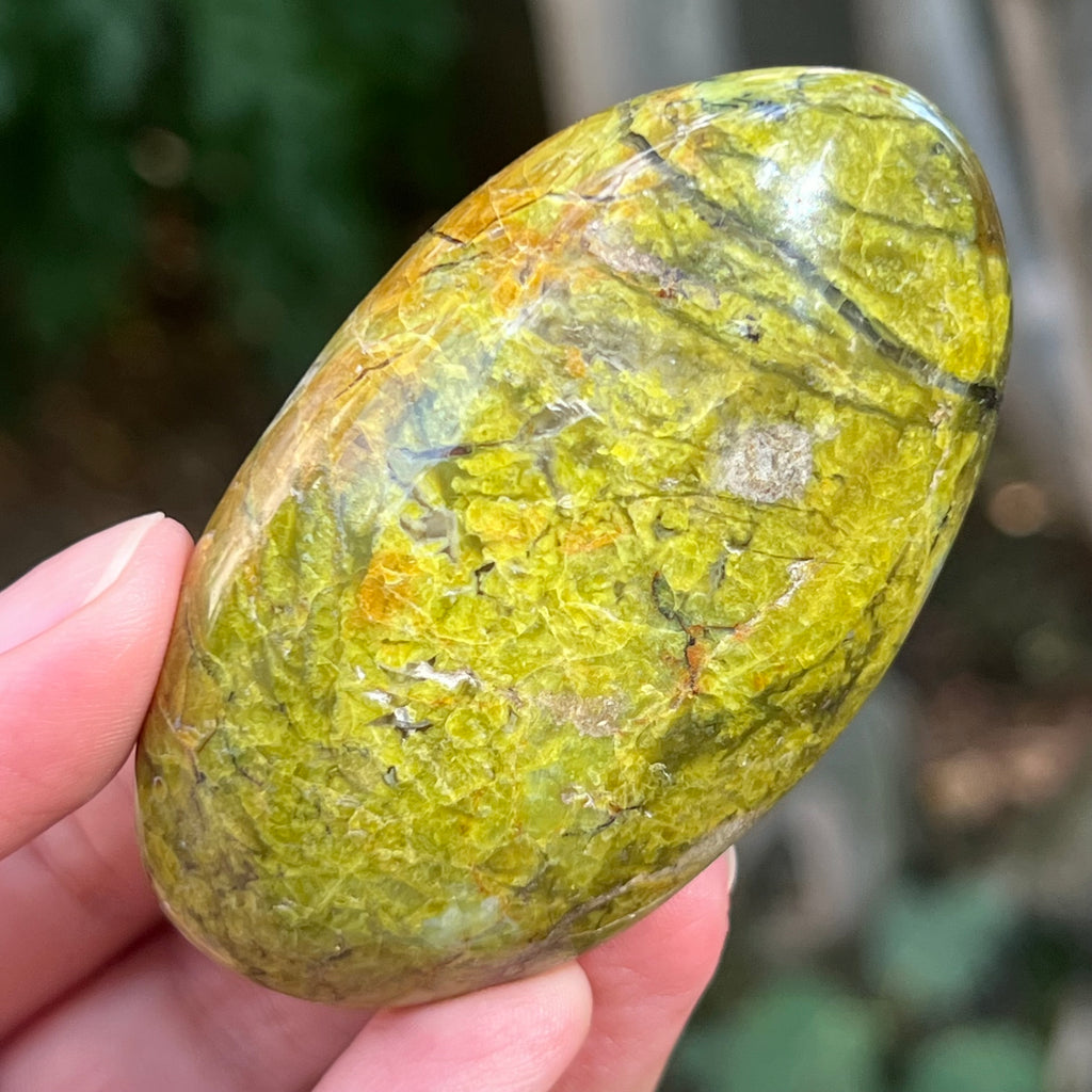 Opal verde palmstone m13, pietre semipretioase - druzy.ro 1 