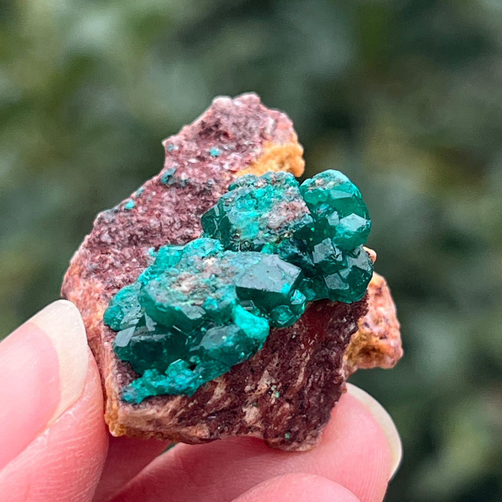 Dioptaz cluster din Congo model 40, pietre semipretioase - druzy.ro 1 