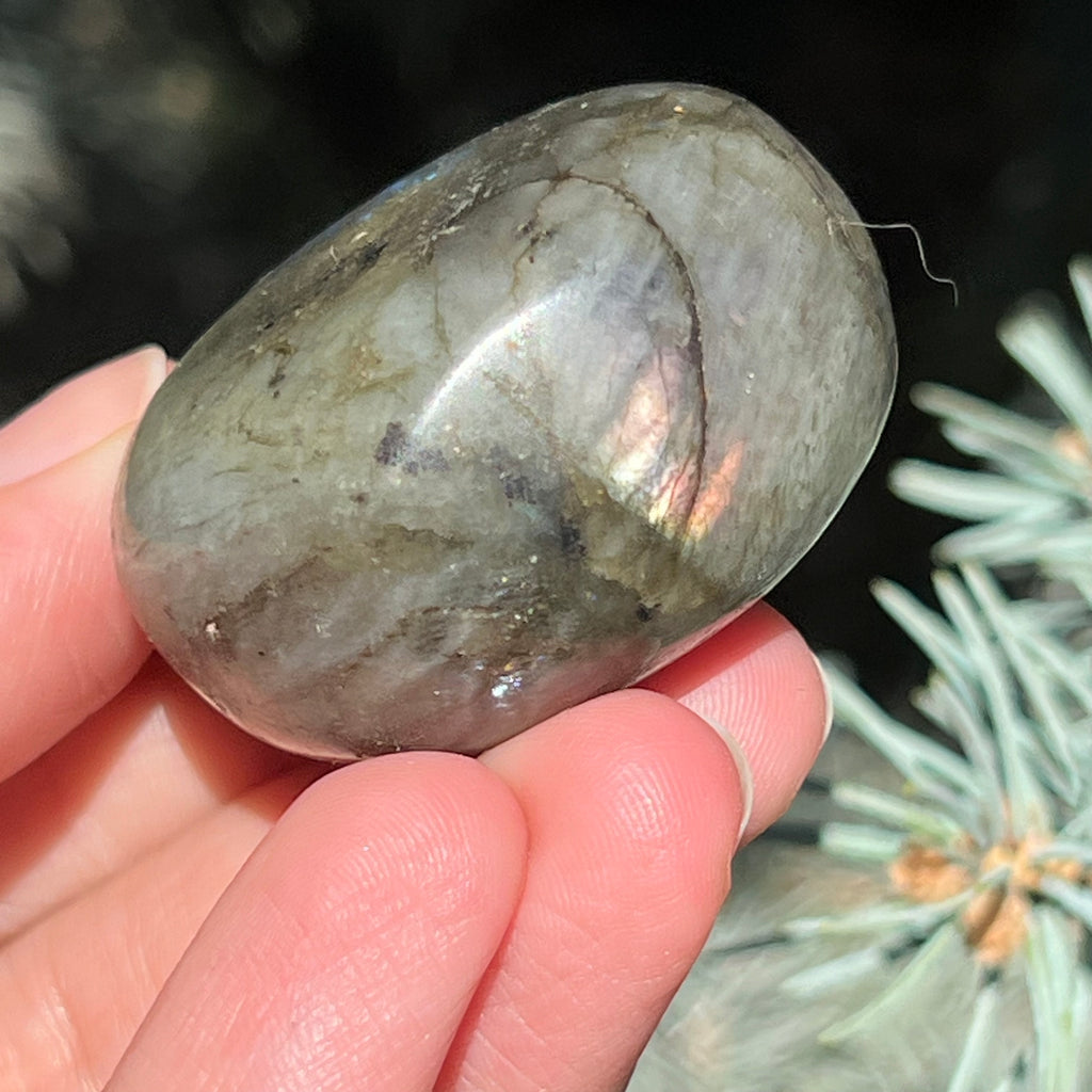 Labradorit palm stone m18, druzy.ro, cristale 4
