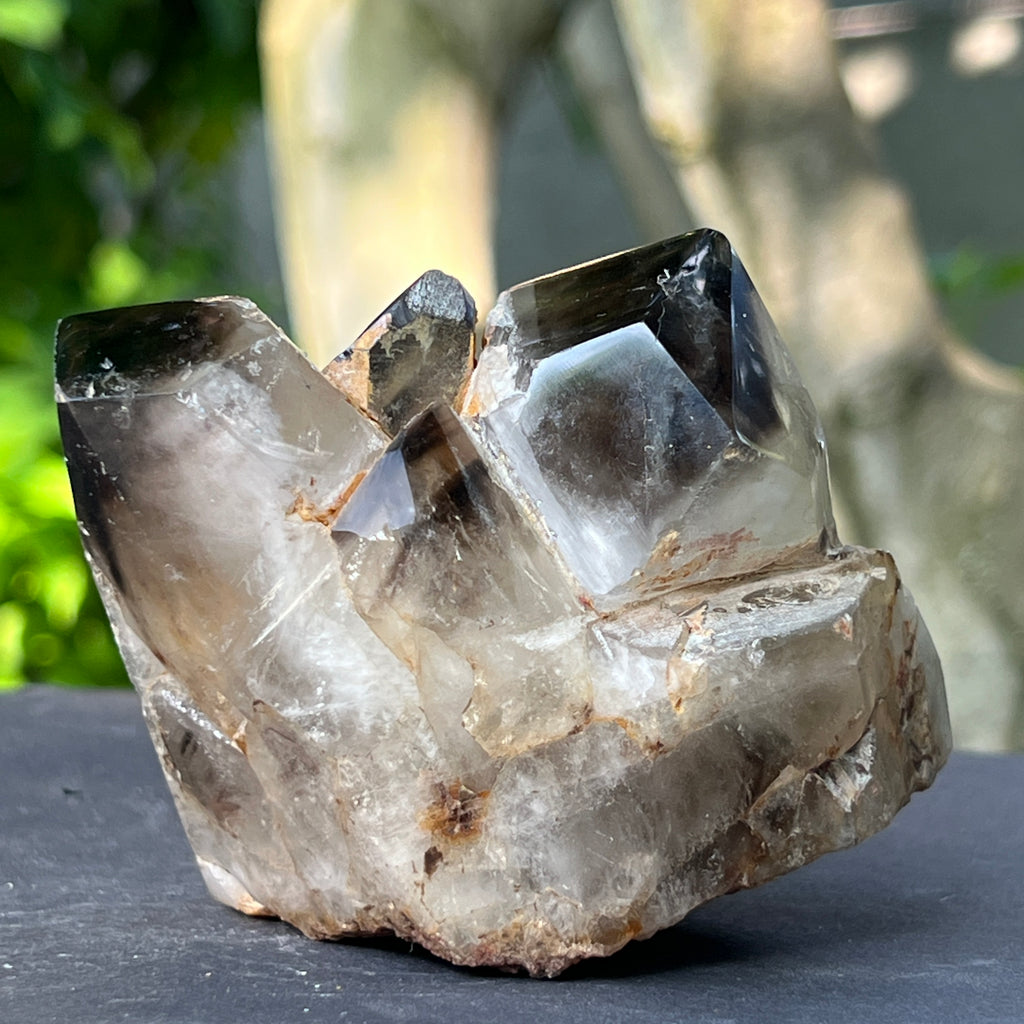 Specimen cluster cuart fumuriu m7, pietre semipretioase - druzy.ro 9 
