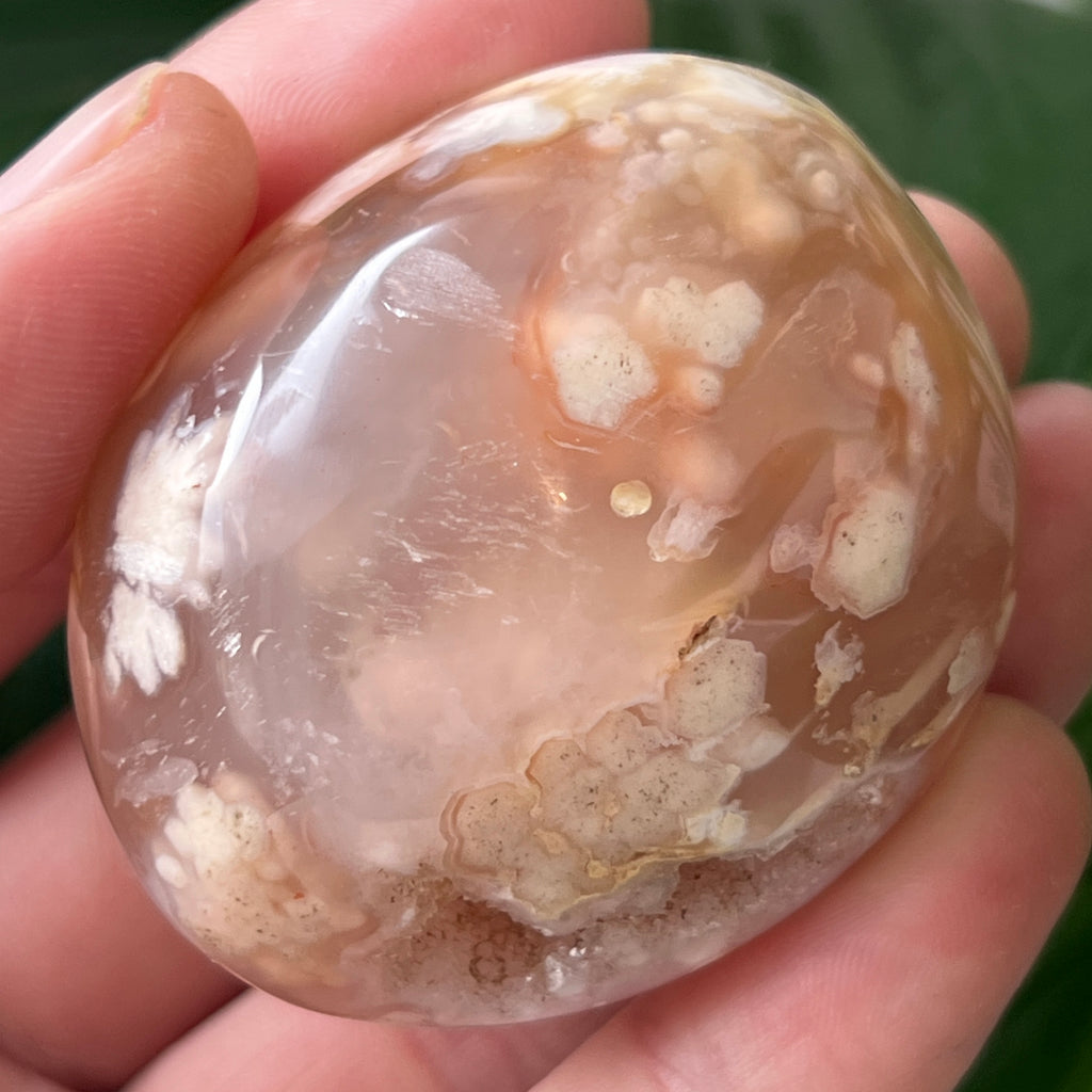 Palmstone agat coral floare rosu m23, pietre semipretioase - druzy.ro 2 