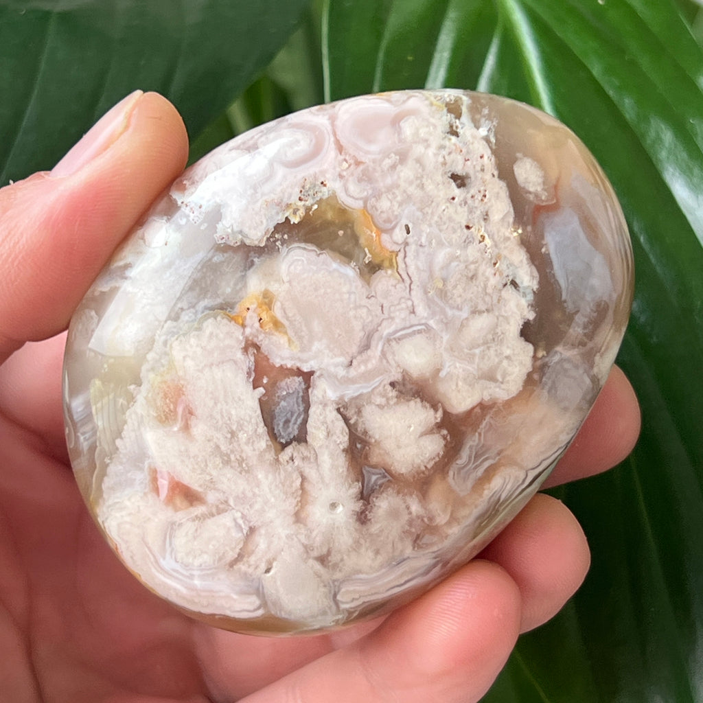 Palmstone agat coral floare rosu md9, pietre semipretioase - druzy.ro 1 