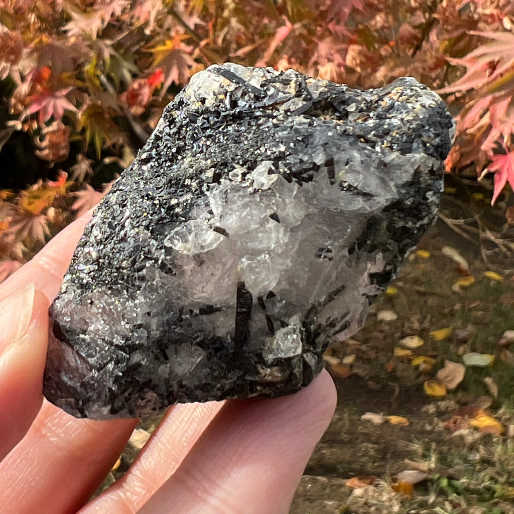 Turmalina neagra bruta cu insertii cuart Africa de Sud model 3, druzy.ro, cristale 1