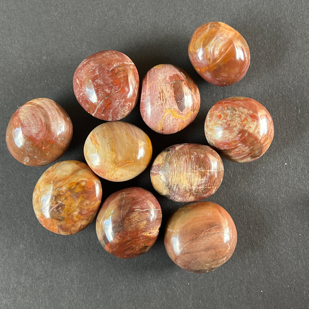 Lemn pietrificat rulat XL, pietre semipretioase - druzy.ro 1 
