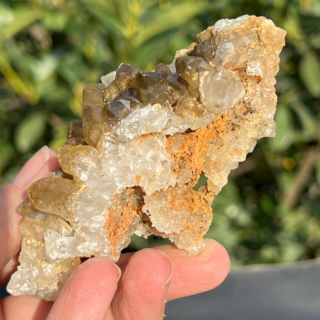 Cluster cuart lamaie Zambia, golden healer model 40, pietre semipretioase - druzy.ro 4 