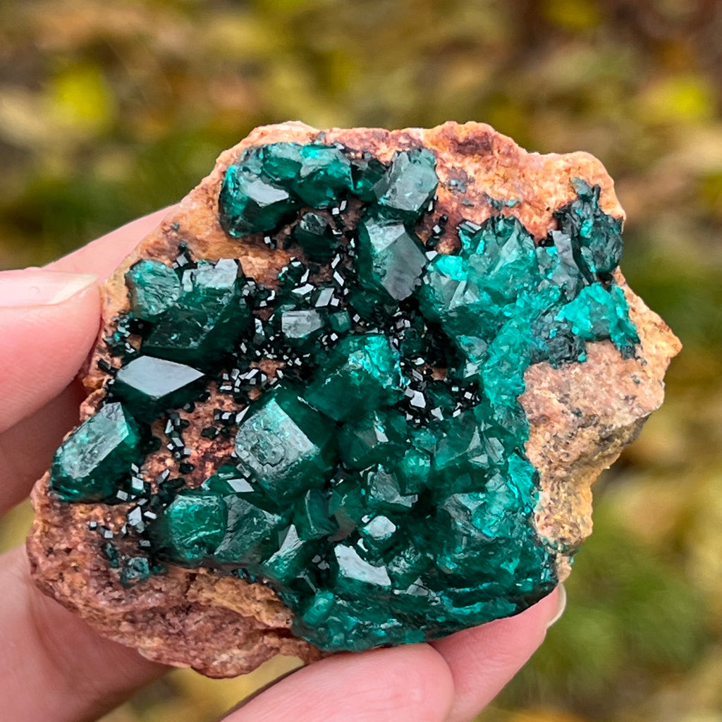 Dioptaz cluster din Congo model 8, pietre semipretioase - druzy.ro 8 