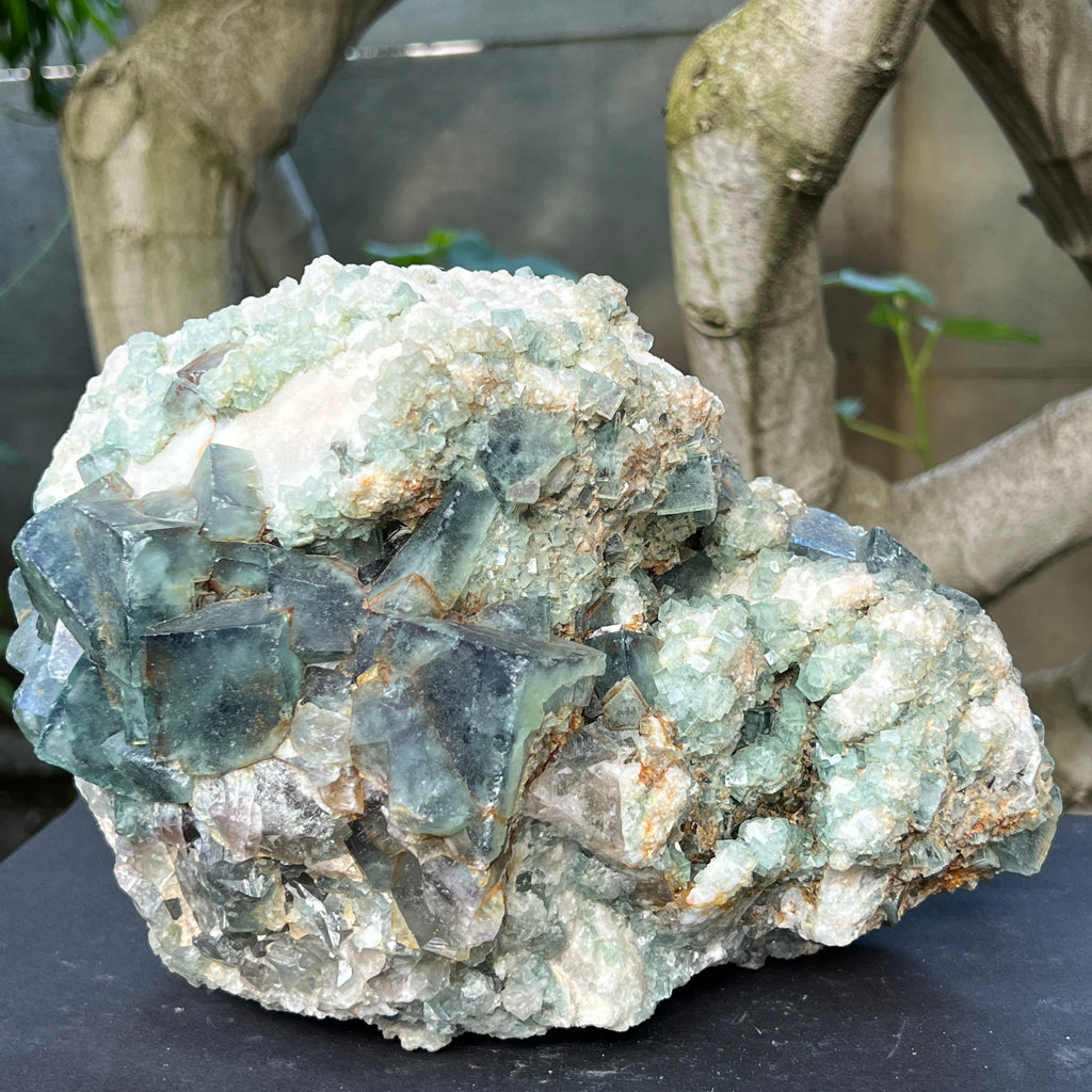 Specimen fluorit cubic model 2, pietre semipretioase - druzy.ro 10 